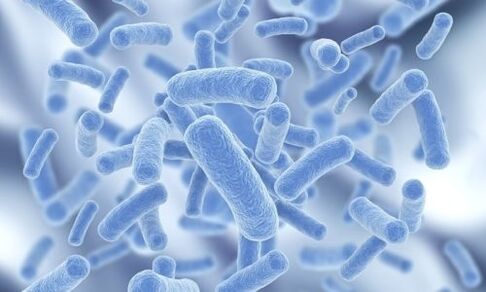 batteri nel corpo umano
