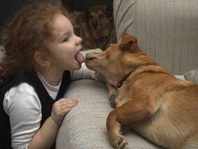 il bambino bacia il cane e viene infettato da parassiti